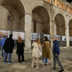 Mostra fotografica "Testimoni d'amore"