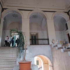 Bitonto Cortili Aperti
