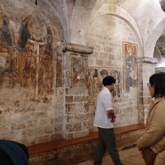 Bitonto Cortili Aperti