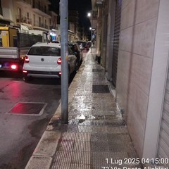 Lavaggio e diserbo strade a Bitonto