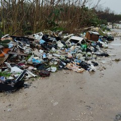 Rifiuti a gogò sulla Bitonto-Giovinazzo. È uno scempio senza fine