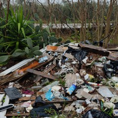 Rifiuti a gogò sulla Bitonto-Giovinazzo. È uno scempio senza fine