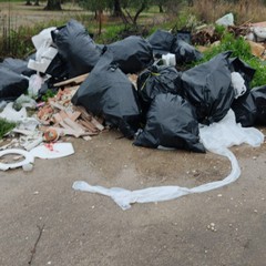 Rifiuti a gogò sulla Bitonto-Giovinazzo. È uno scempio senza fine