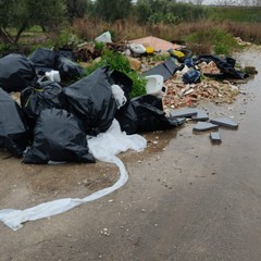 Rifiuti a gogò sulla Bitonto-Giovinazzo. È uno scempio senza fine