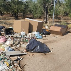 A Bitonto si scaricano mobili e poltrone: così nasce una discarica