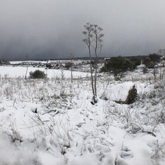 Murgia del Ceraso Campo dei Missili jfif