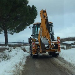 Spalaneve in azione a Palombaio