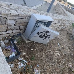 Sporcizia allo skatepark