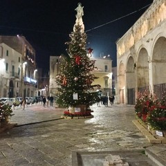 Allestimento natalizio in piazza Cattedrale