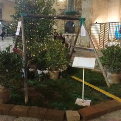 Allestimento natalizio in piazza Cattedrale