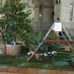 Allestimento natalizio in piazza Cattedrale