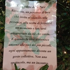 Allestimento natalizio in piazza Cattedrale