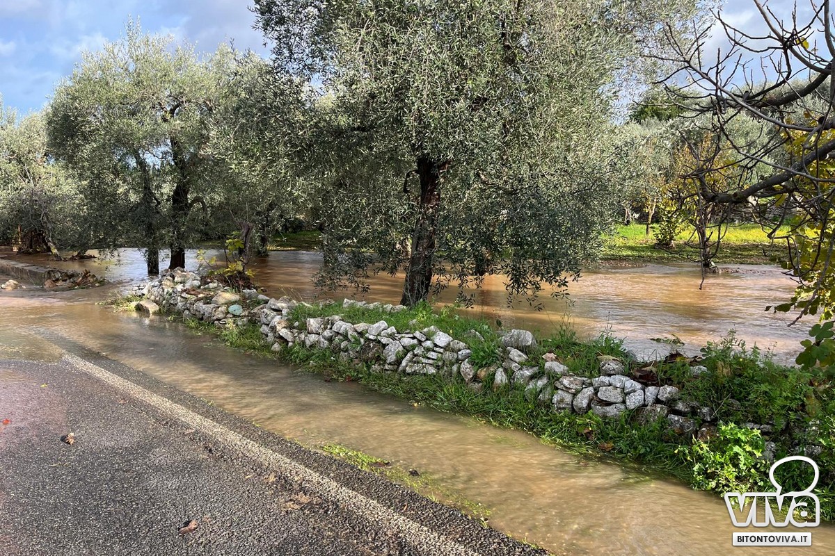 Allagamenti campagna tra Palombaio e Bitonto