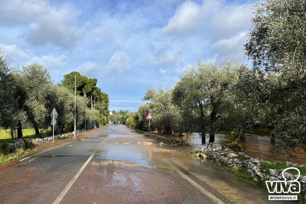 Allagamenti campagna tra Palombaio e Bitonto