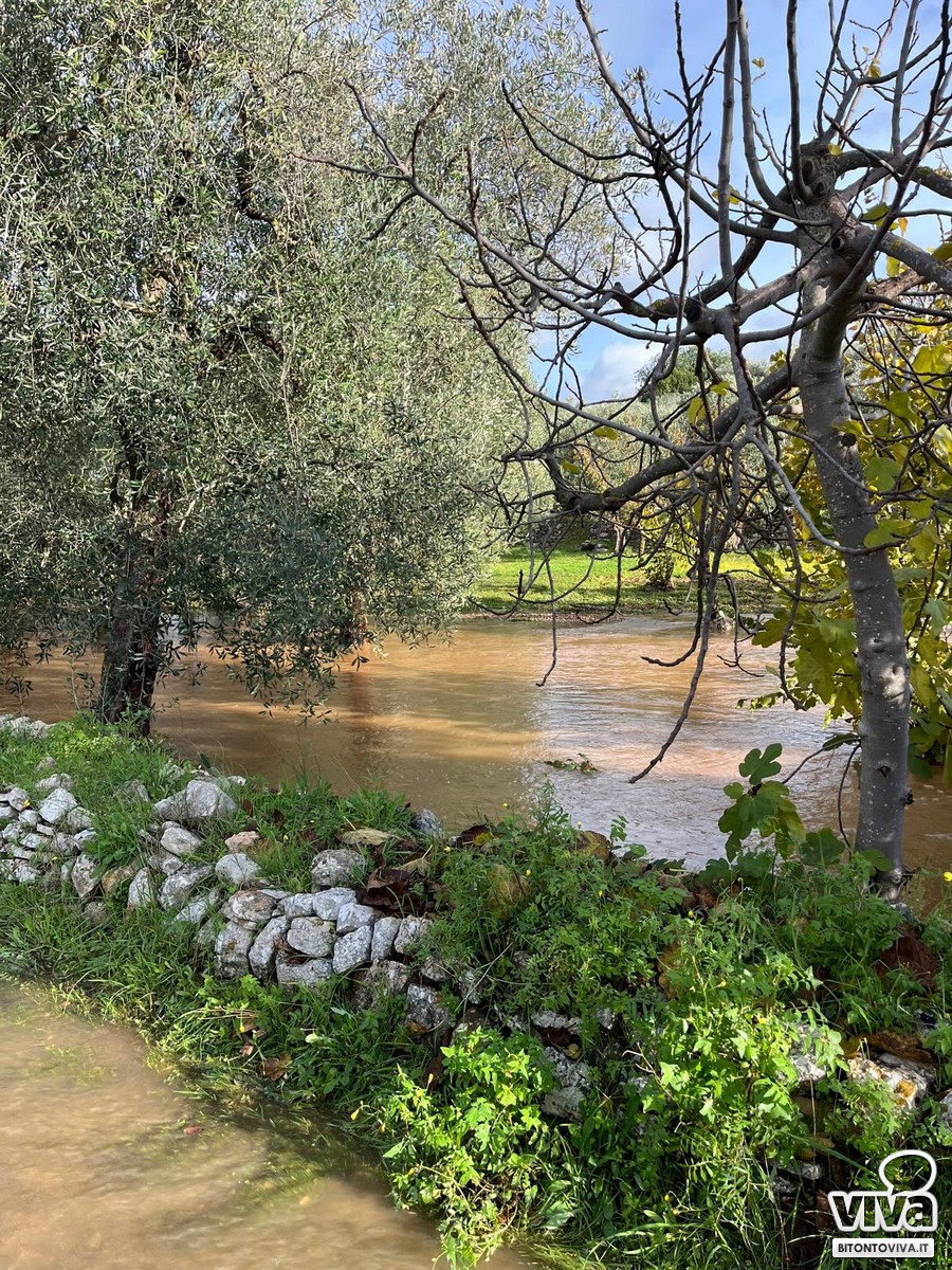 Allagamenti campagna tra Palombaio e Bitonto