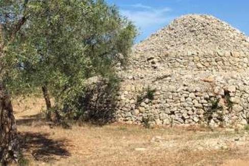 Le campagne di Bitonto