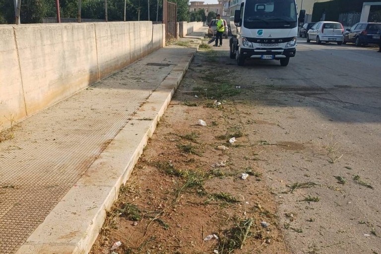 Taglio erba infestante a Bitonto