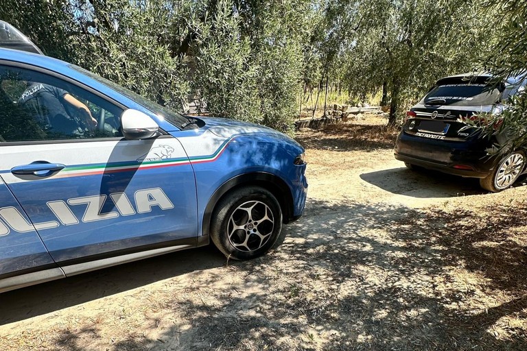 Polizia di Stato e Metronotte