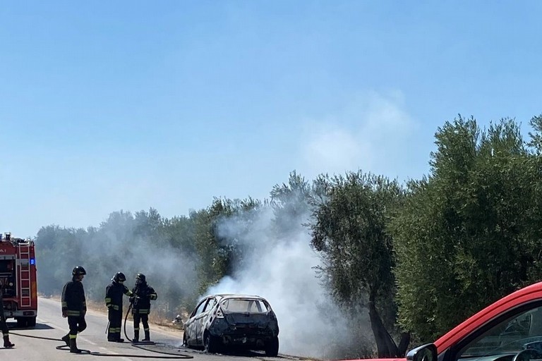 Auto in fiamme tra Bitonto e Palombaio. <span>Foto Bit Live</span>
