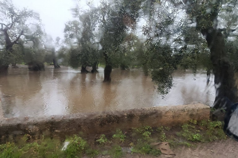 Allagamenti campagne. <span>Foto Bit Live</span>