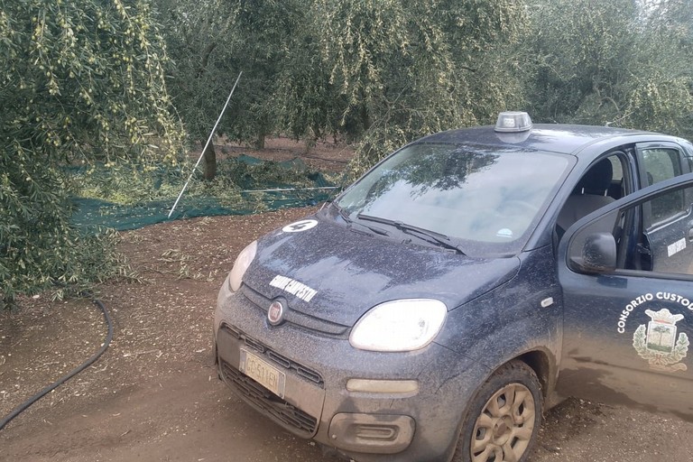 L'intervento del Consorzio Custodia Campi