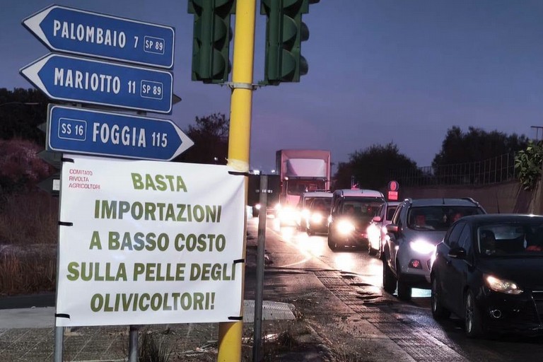 Protesta olivicoltori Bitonto