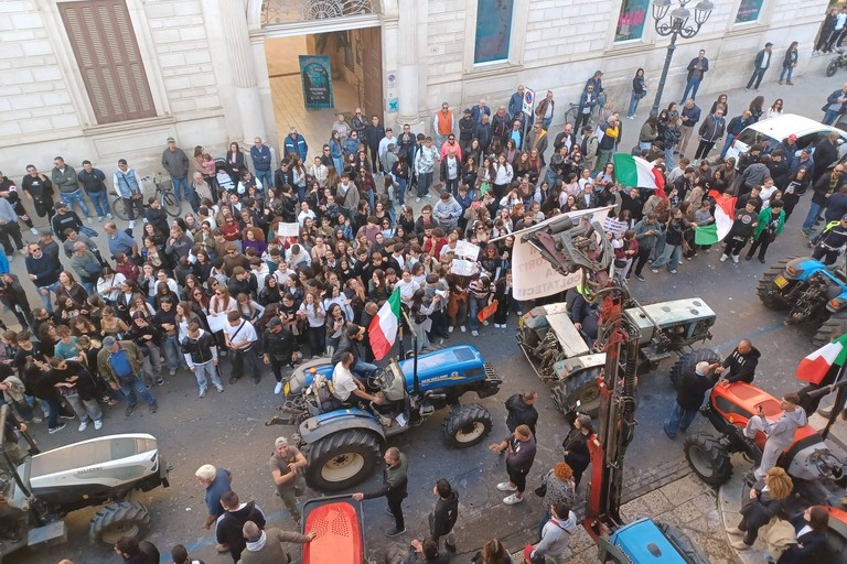 Protesta olivicoltori e studenti Bitonto. <span>Foto Gianluca Battista</span>