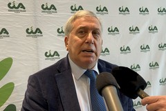 Grano duro, CIA Puglia: “Ok l’incremento di produzione, ma la vera questione è il prezzo”
