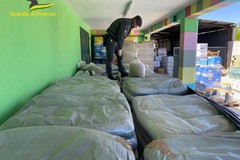 Sequestrate oltre 16 tonnellate di pellet «potenzialmente pericoloso»