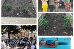 Gli alunni della "Caiati" di Bitonto piantano il futuro