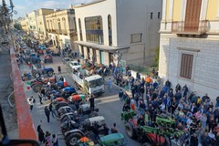 Protesta olivicoltori: ecco le 10 richieste pressanti a Regione e Governo