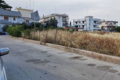 Ratti e degrado in via Gen. Mirabella: i residenti infuriati