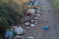Ripulita via Sarago dai rifiuti abbandonati. Ricci: «Azione concreta per la comunità»