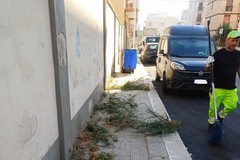 Diserbo strade, continua il lavoro della Sanb a Bitonto