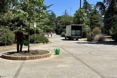 Verde pubblico Bitonto, Santoruvo: «Collaborazione con cittadini porta risultati concreti»