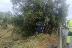 Auto fuori strada sulla sp 231 finisce tra gli alberi: illeso il conducente