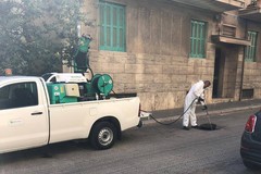 Il 3 ed il 4 giugno disinfestazione in tutta Bitonto