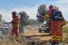 Ettari di terreni in fiamme vicino il Bosco Rogadeo di Bitonto