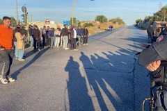 Manifestazione olivicoltori a Bitonto: ecco le ragioni profonde della protesta