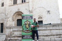 Futsal Bitonto, doppia conferma in casa neroverde: restano Solimini e Schettini