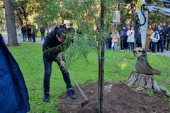 In villa comunale piantato un albero per commemorare il piccolo Nico Rubini