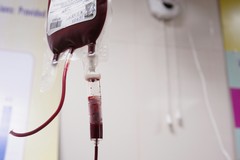 Delegazione di Avis Bitonto in Emilia Romagna per la Giornata del Donatore di Sangue