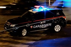 Banda dei tir sgominata dai carabinieri, 15 arresti nel Barese