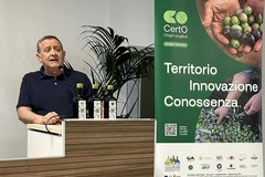Olivi espiantati per il fotovoltaico, Fracchiolla: “Così si sradica ciò che ci identifica”