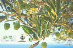 A Bitonto tre appuntamenti per la sesta edizione della Settimana della Biodiversità pugliese