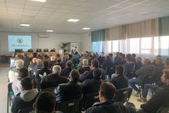 Bilancio approvato, ottimi risultati per la coop Produttori Olivicoli Bitonto