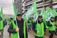 Protesta degli agricoltori a Bruxelles, Sicolo e CIA Pyglia per i loro diritti