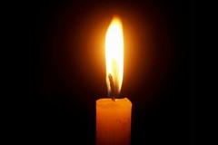 ”I germogli del lutto”, a Bitonto un aiuto per affrontarlo
