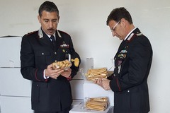 Frodi alimentari, firmato accordo tra Regione Puglia e Carabinieri Forestali