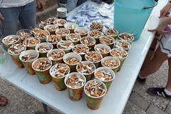 Volontari insieme per ripulire la Villa Comunale dai mozziconi di sigaretta